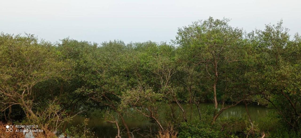 Shruthi'S Aarohi-Nature'S Retreat Mulappilangād Екстериор снимка